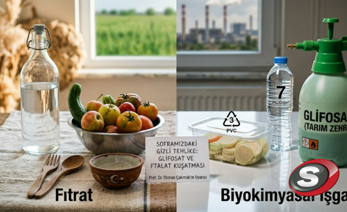 Modern Yaşamın Gizli Tehlikeleri: Glifosat ve Ftalat Kuşatması Altındayız!