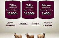 Adak, Sadaka ve Akîka Kurbanlarında Güvenli Vekâlet Dönemi