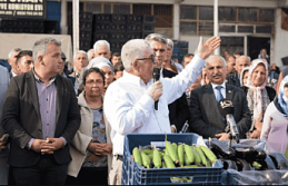 Aydıncık Salatalık Üreticilerinden Düşük Fiyat...