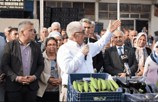 Aydıncık Salatalık Üreticilerinden Düşük Fiyat...