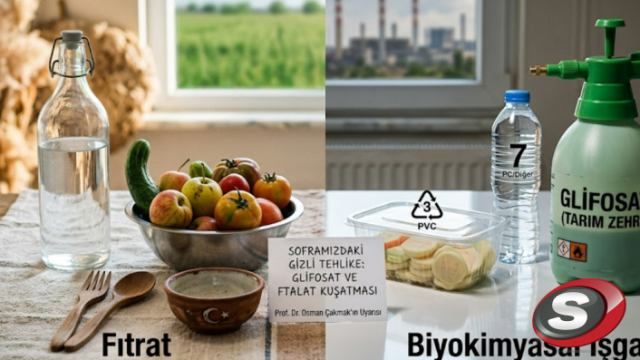 Modern Yaşamın Gizli Tehlikeleri: Glifosat ve Ftalat Kuşatması Altındayız!
